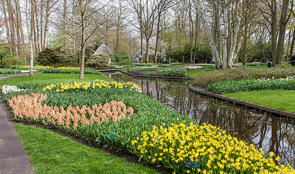 Keukenhof