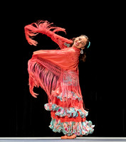 Paloma Valenzuela