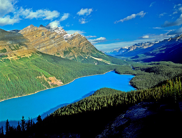 Peyto Lake, Alberta
