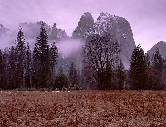 Yosemite Meadow