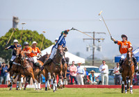 Polo 2014
