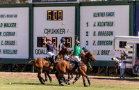 Polo 2017