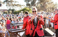 Concerts in the Park 2015