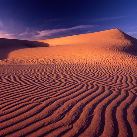 Oceano Sand Dunes