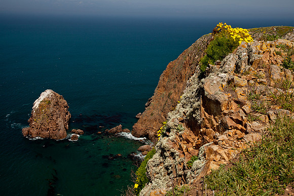 Santa Cruz Island (Channel Islands)