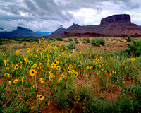 Route 128, Utah