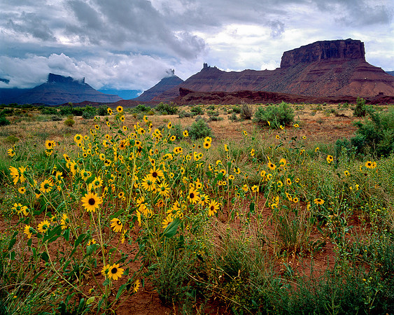 Route 128, Utah