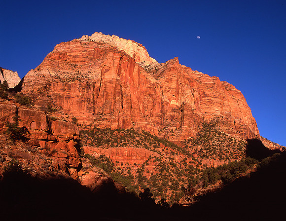 Zion Sunset