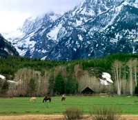 Near Jackson
