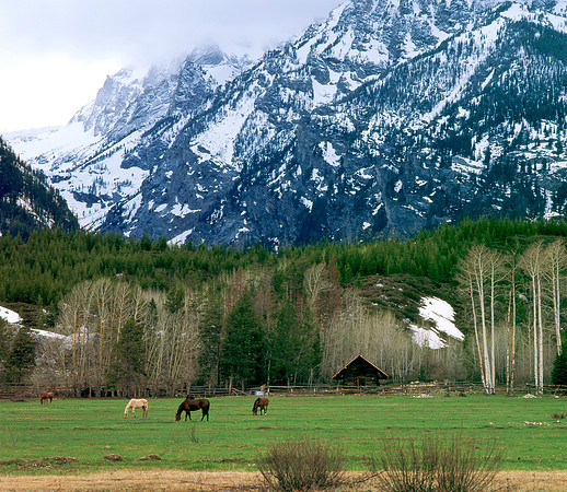 Near Jackson