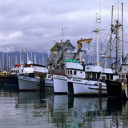 Fishing Fleet, Santa Barbara