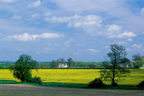 Rape Field near Broadway