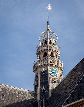 Hoorn