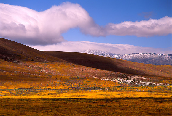 California State Poppy Reserve