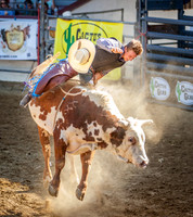 Rodeo