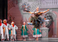 SB Festival Ballet's Nutcracker 2015
