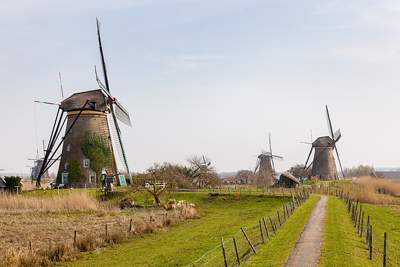 Kinderdijk