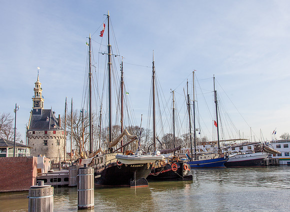 Hoorn