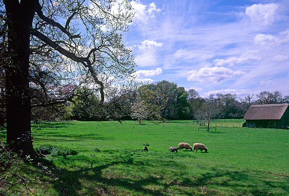 Pasture near Stanton