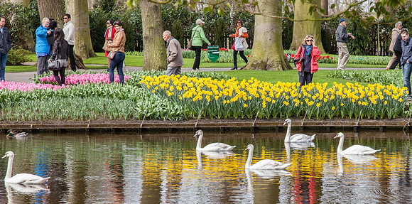 Keukenhof